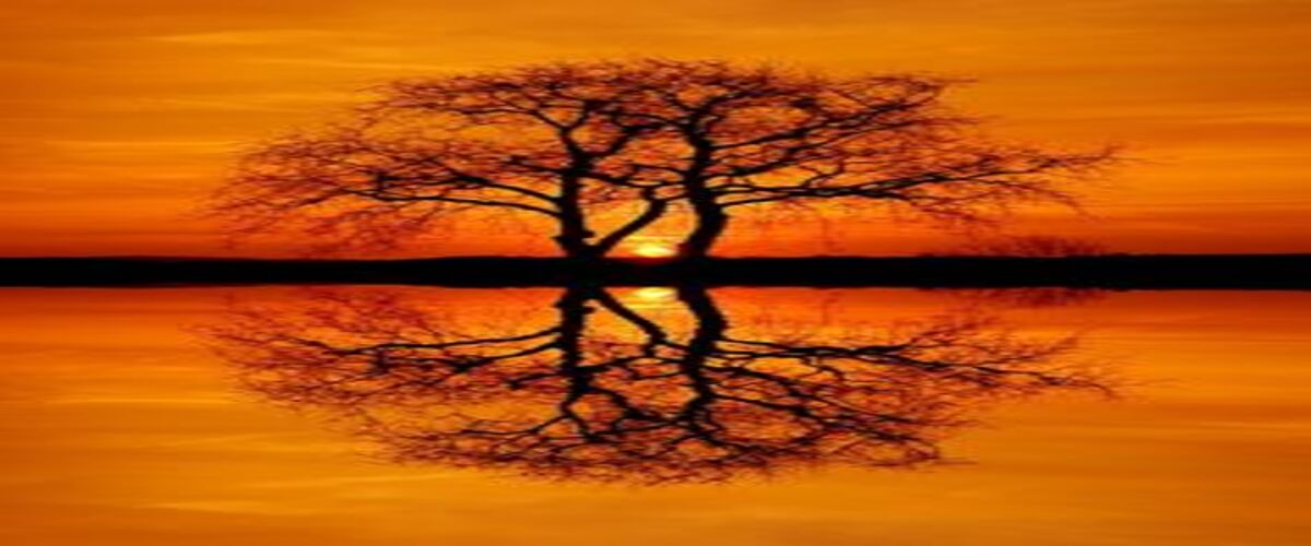 Evening Image